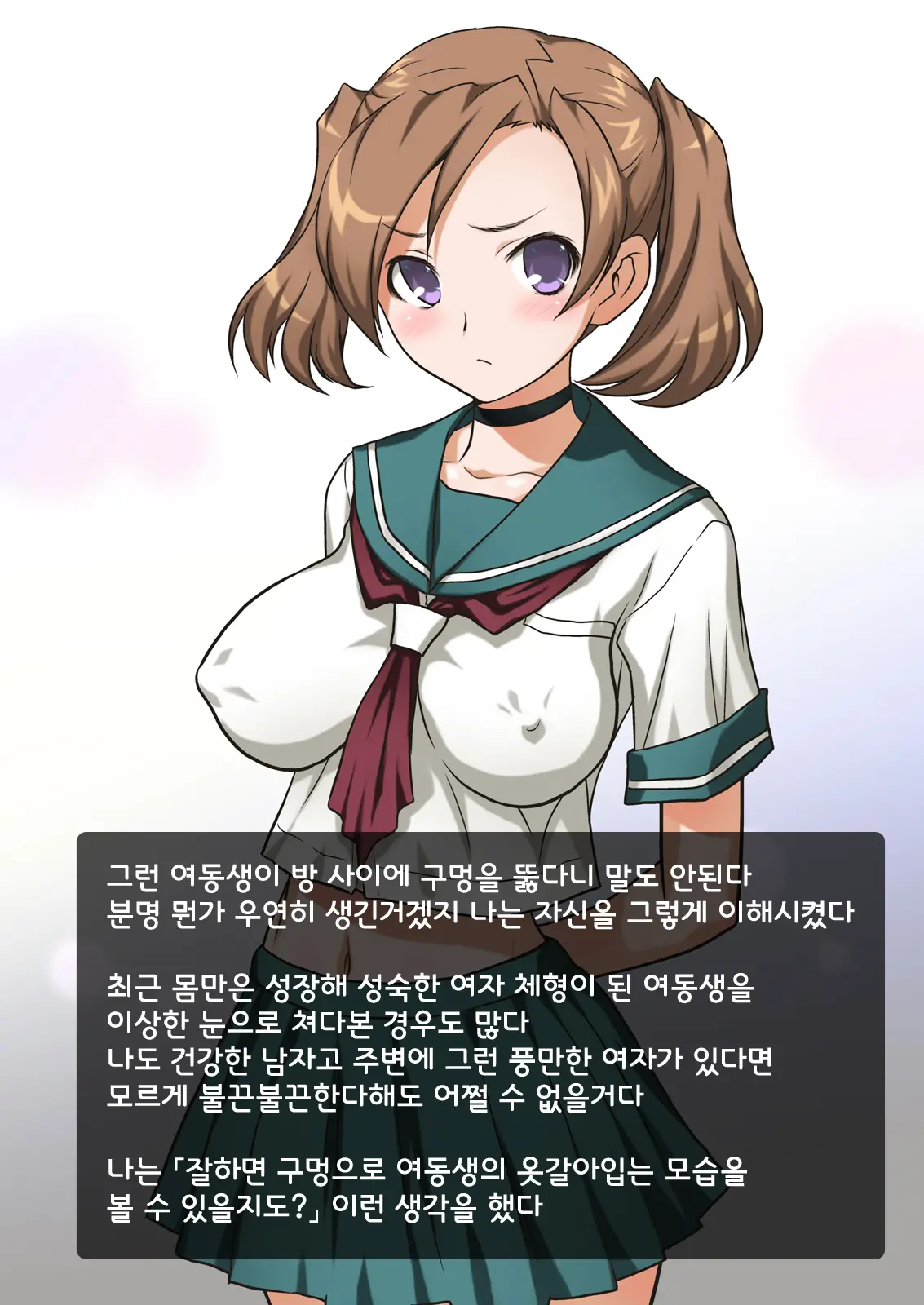 Imouto Wa Nama Onaho ~Sayaka Wa Onii-Chan Senyou Sei Gangu~